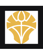 Dominaria United